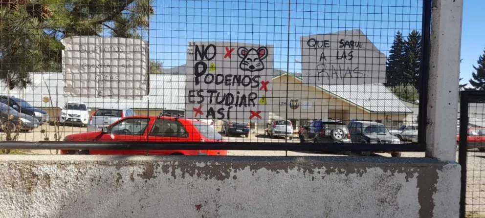 Denuncian la presencia de roedores en el CEM 33