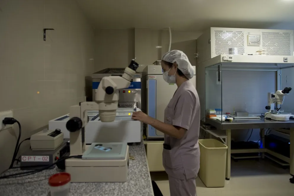 Qué es la fertilización asistida y cómo se lleva a cabo la donación de óvulos