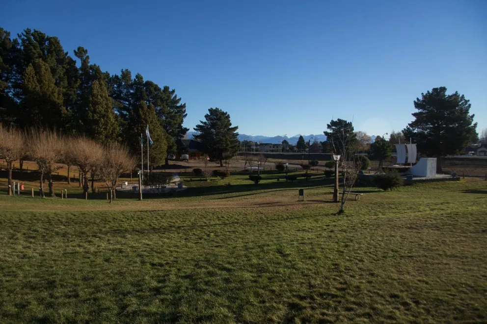 Cortarán una calle de Dina Huapi para voltear árboles