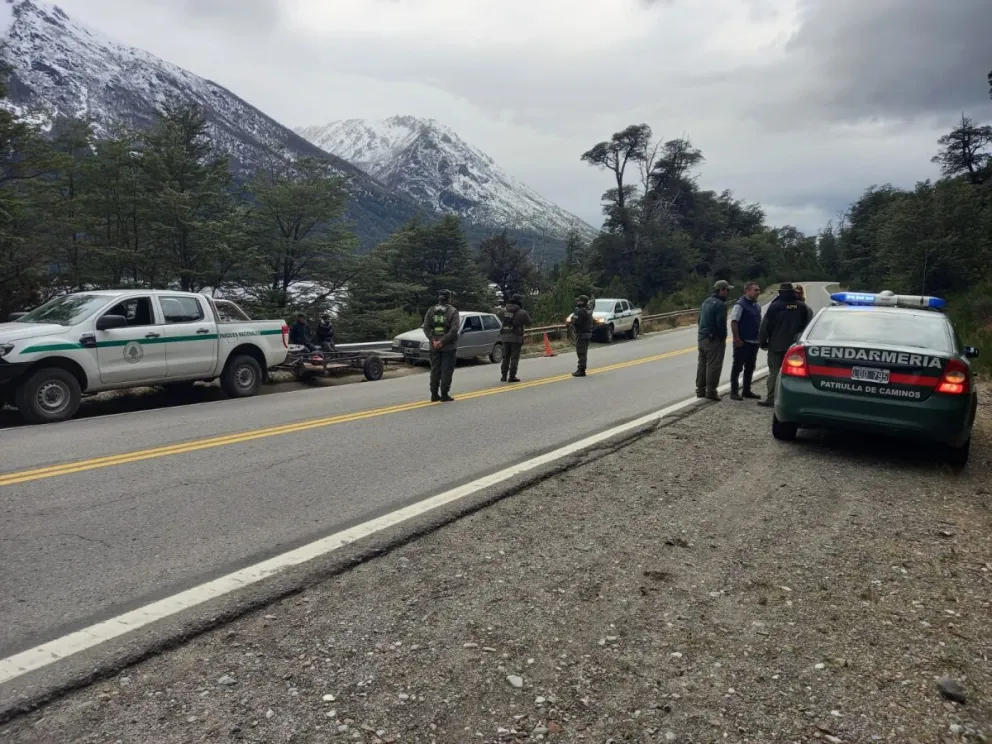 Secuestraron leña de árboles autóctonos