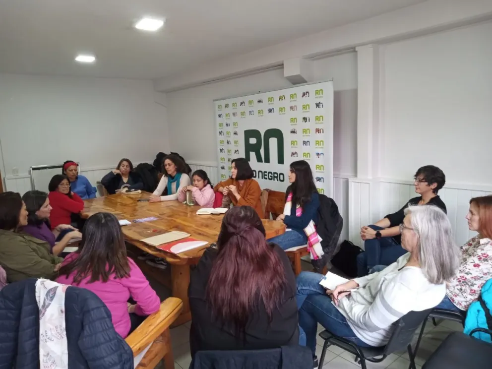 Continúan las reuniones para la planificación del 36 Encuentro Plurinacional de Mujeres y Disidencias 