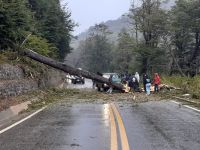 Interrumpen momentáneamente el tránsito en la ruta de los Siete Lagos
