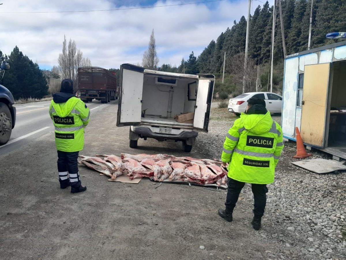 Secuestraron capones sin certificado sanitario en el ingreso a Bariloche