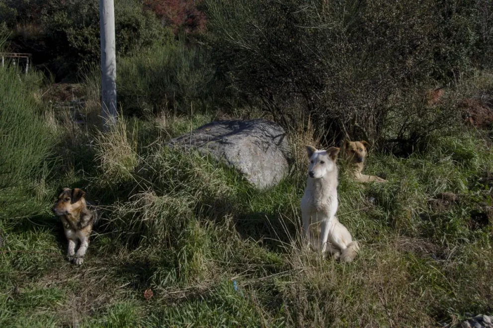 La jornada se realizará entre las 12 y las 15 horas. Foto: ilustrativa Marcelo Martínez.
