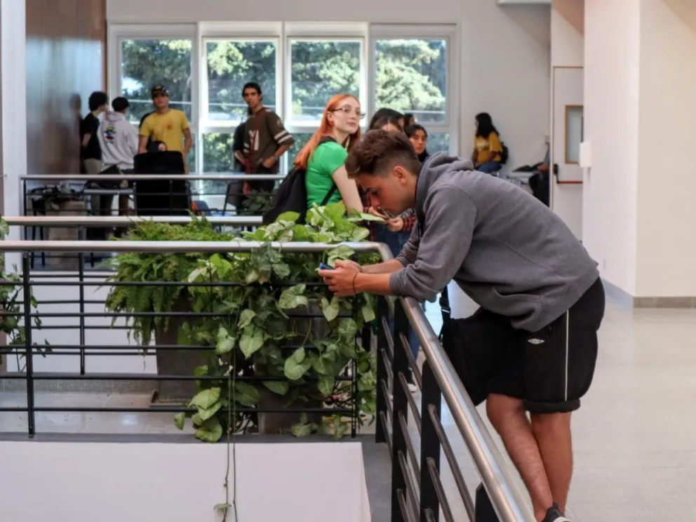 Por el paro de UTA, suspenden los testeos de VIH de la UNRN